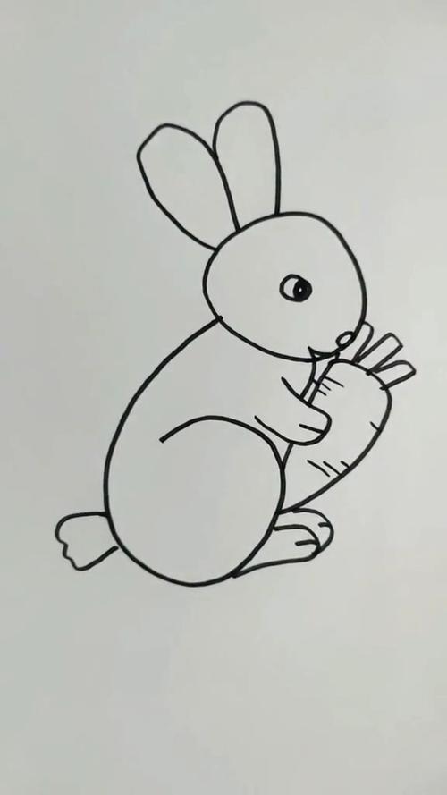 动物园小白兔简笔画图片（动物园的小白兔怎么画）(6)