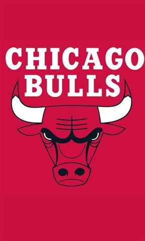 芝加哥公牛logo简笔画（美国公牛logo）