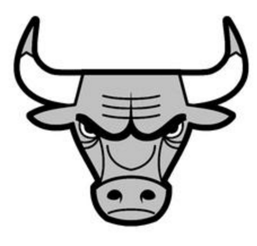 芝加哥公牛logo简笔画（美国公牛logo）(2)