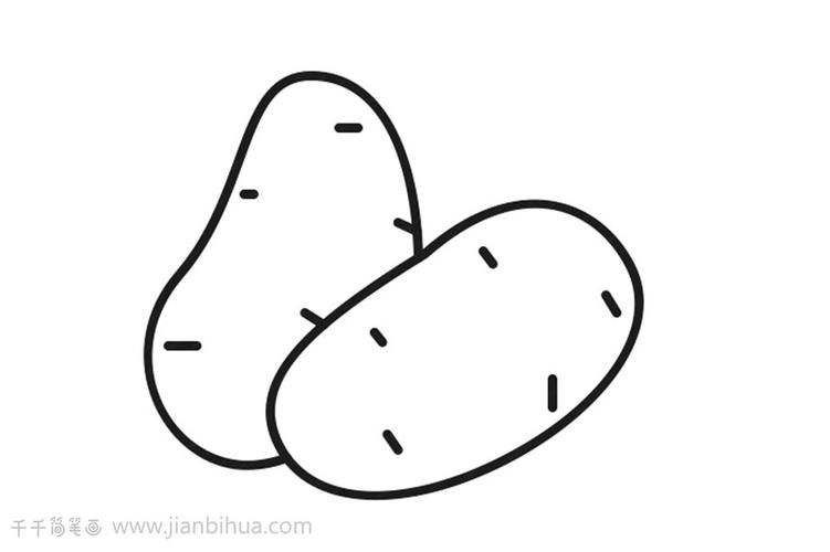 大土豆和小土豆的简笔画（土豆的简笔画图片大全）(1)