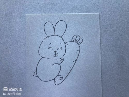 兔子抱胡萝卜简笔画法（兔子抱胡萝卜简笔画可爱）(2)