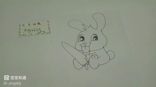 兔子抱胡萝卜简笔画法（兔子抱胡萝卜简笔画可爱）(4)