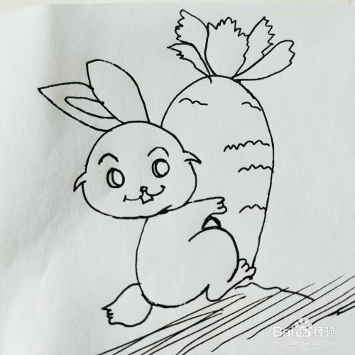 兔子抱胡萝卜简笔画法（兔子抱胡萝卜简笔画可爱）(9)