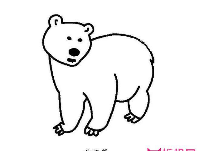 熊简笔画手抄报图片（一只熊的手抄报图片大全）(5)
