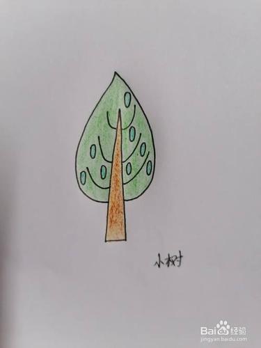 简笔画植物小树简单又好看（简笔画植物花草简单）(3)
