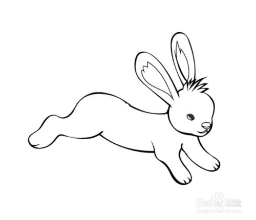 奔跑的兔子的简笔画（跳起来的兔子可爱简笔画）(2)