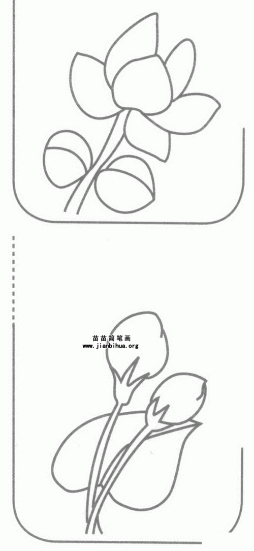 怎样画儿童简笔画花朵（小朋友画花朵简笔画步骤）(8)