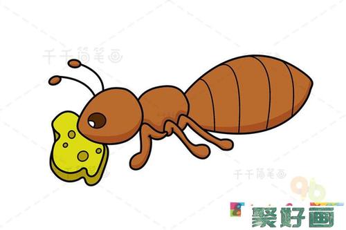 3岁幼儿简笔画蚂蚁（蚂蚁幼儿园简笔画图片大全）(3)