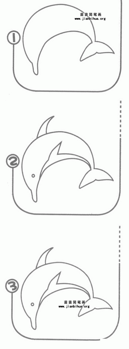 海豚高级简笔画（海豚图片大全简笔画）(3)