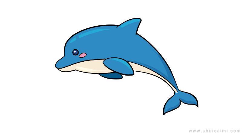 海豚高级简笔画（海豚图片大全简笔画）(7)
