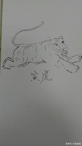 威锋老虎简笔画（四脚老虎简笔画）(3)