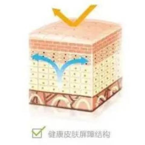 控油补水产品（今年春夏必火的控油保湿之王）(12)