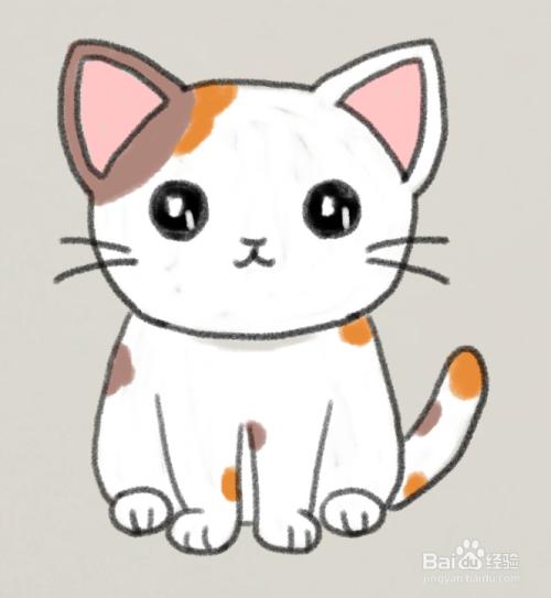 猫的简笔画彩色（猫的简笔画可复制）(5)
