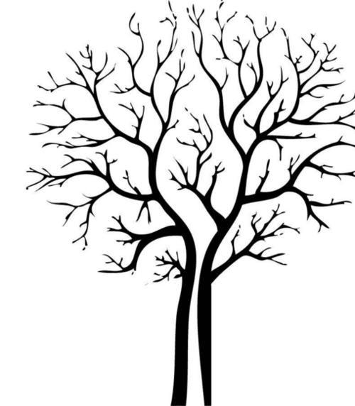 小树木的简笔画法（大树简笔画大全简单）(3)