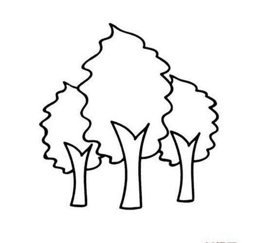 小树木的简笔画法（大树简笔画大全简单）(5)