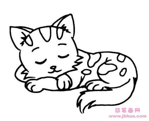 小花猫爱睡觉的简笔画（爱睡觉的猫简笔画）(6)