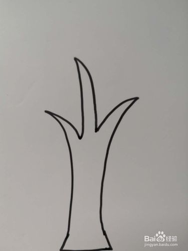 小树木的简笔画法（大树简笔画大全简单）(8)