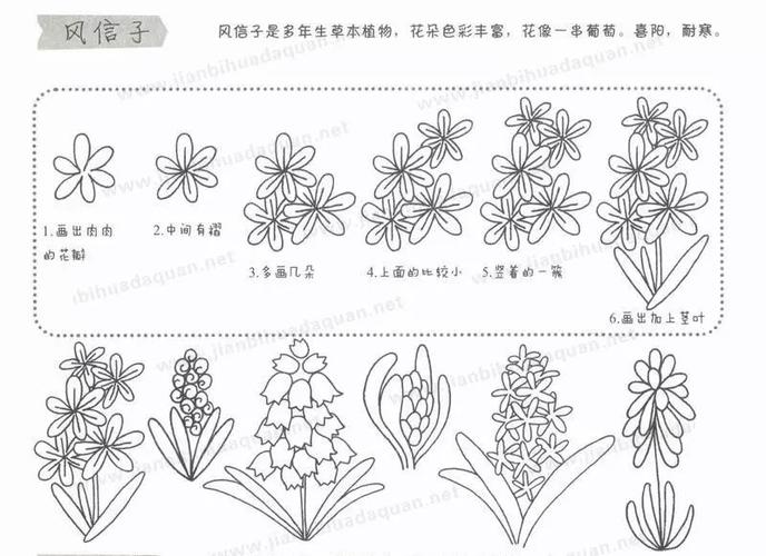 制作植物简笔画（简笔画植物可爱小图案）(5)