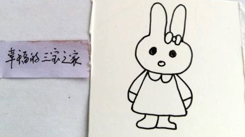 小白兔的生活用品简笔画（小白兔的生活环境简笔画）(10)