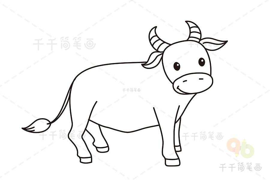 小牛的图片简笔画（小牛简笔画带颜色的）(2)