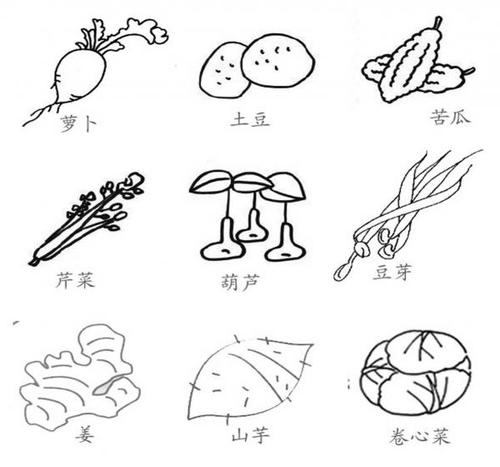 各种蔬菜变成人简笔画（蔬菜卡通人物简笔画）(3)