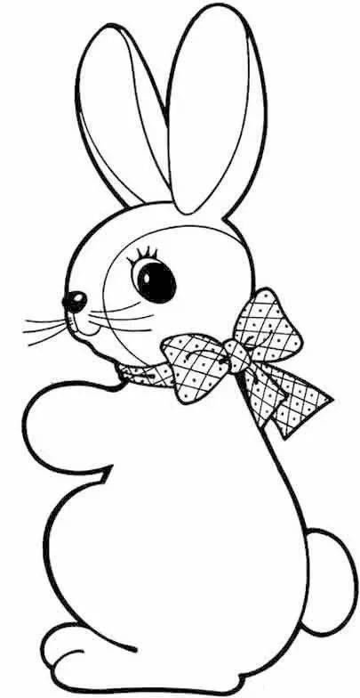 可爱的兔子卡通图片简笔画（兔子简笔画卡通又可爱）(10)