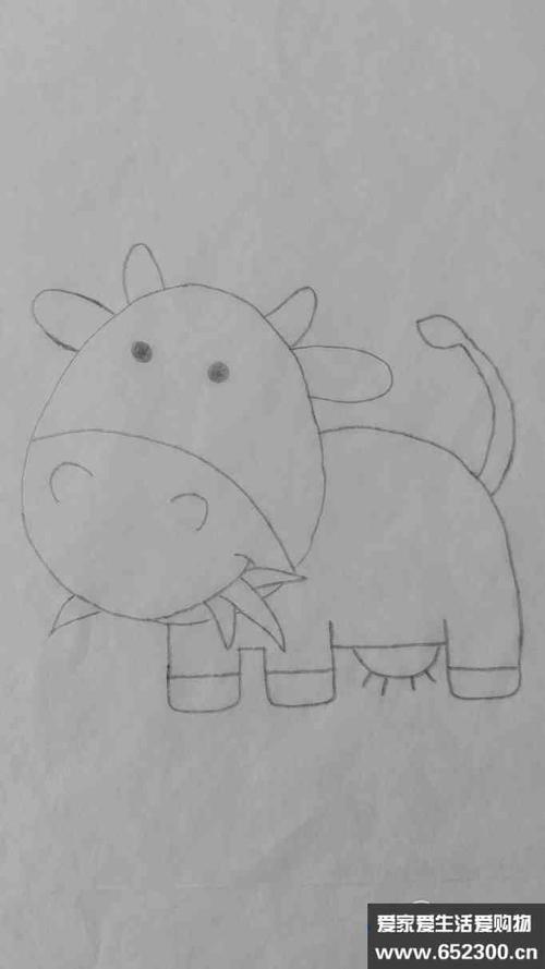 小牛的图片简笔画（小牛简笔画带颜色的）(8)