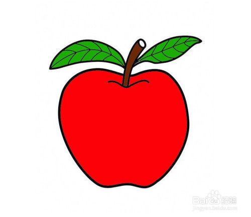 苹果简笔画幼儿园可爱（苹果幼儿简笔画水粉画）(8)