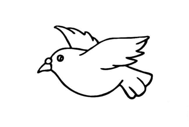 飞翔的鸽子简笔画（往右边飞的鸽子简笔画）(1)