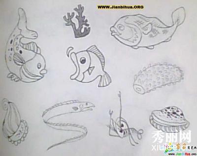 2021年海洋生物简笔画（海洋生物触角类简笔画）(6)