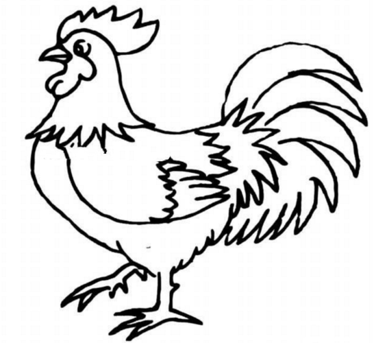 鸡的卡通图片简笔画（卡通鸡简笔画图片大全）