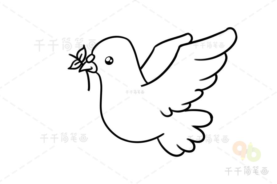 飞翔的鸽子简笔画（往右边飞的鸽子简笔画）(3)