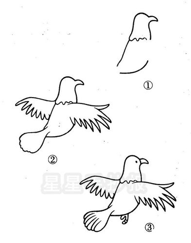 飞翔的鸽子简笔画（往右边飞的鸽子简笔画）(6)