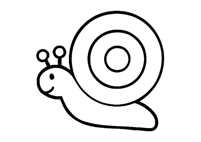 幼儿园小班简笔画涂色蜗牛（幼儿园小班简笔画涂色模板）(3)