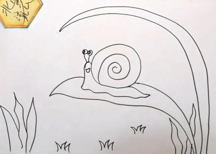 幼儿园小班简笔画涂色蜗牛（幼儿园小班简笔画涂色模板）(7)