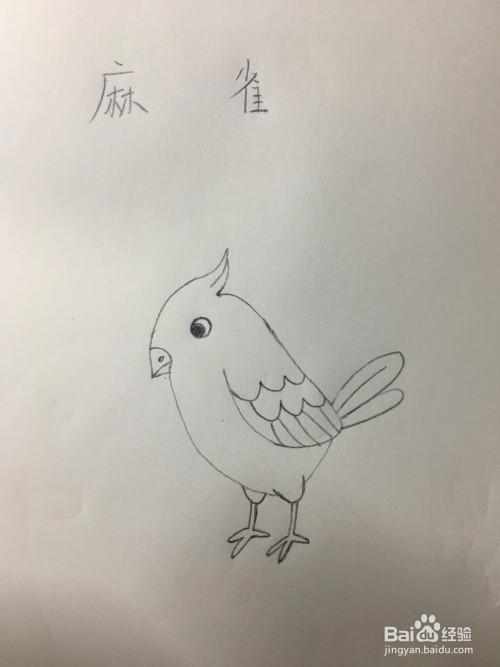 小动物麻雀简笔画（简笔画小动物乌鸦）(5)