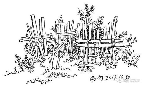 篱笆彩铅简笔画（绿树怎么画彩铅）(3)