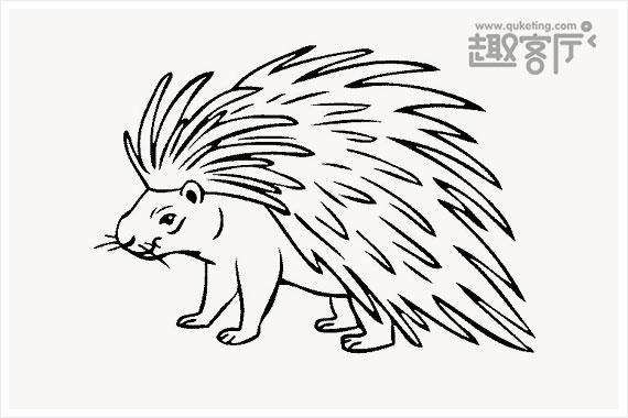 最温柔的动物简笔画（最可爱的动物简笔画）(1)