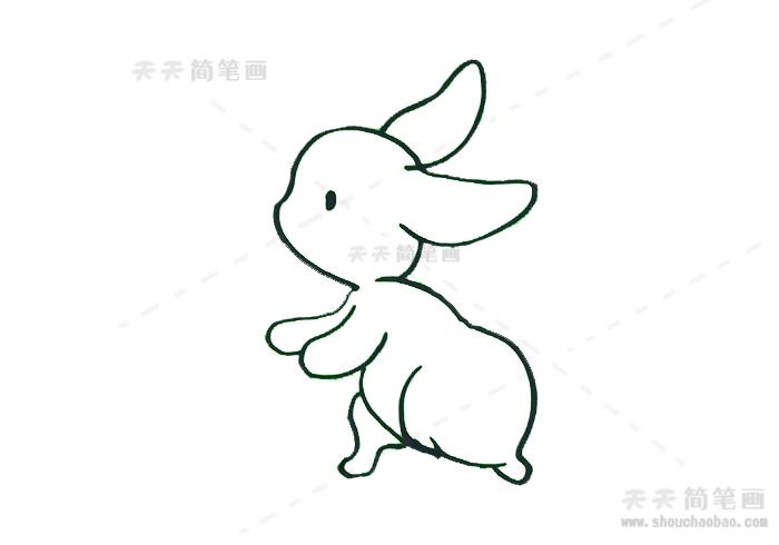 简笔画大全.小兔子（简笔画小兔子的图案）(2)