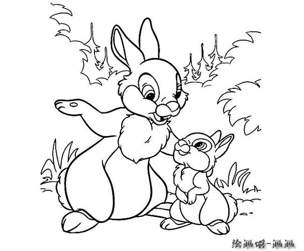两只小兔子在吃草简笔画（简笔画兔子在草坪上吃草）(2)