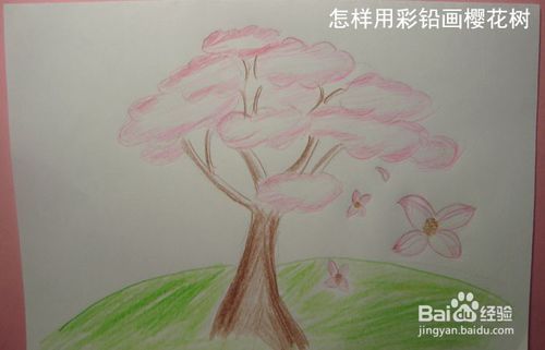 彩铅画樱花手抄报（樱花绘画教程儿童画）(2)