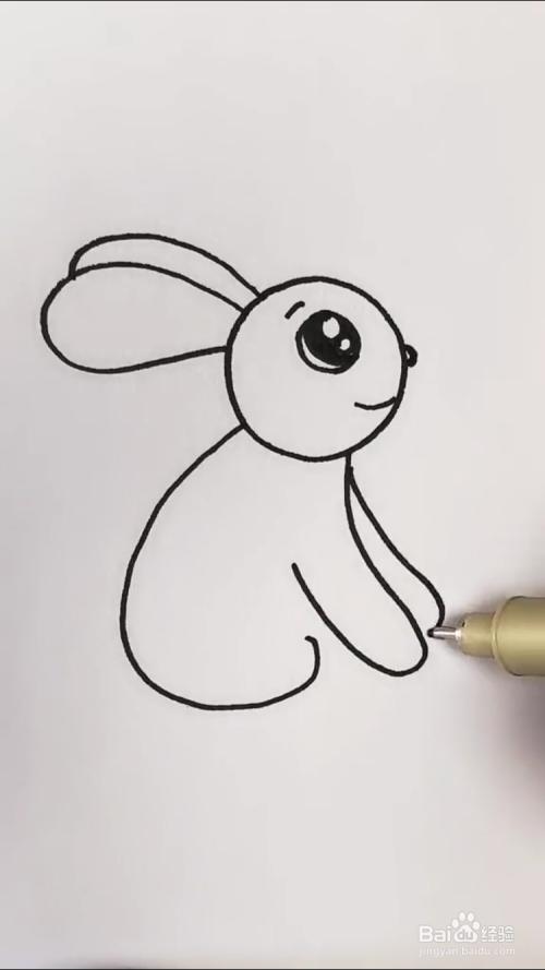简笔画的小兔怎么画（简笔画平面小兔子怎么画）(2)