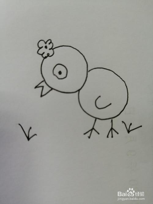 从上往下看的小鸡简笔画（从小到大的小鸡简笔画）(2)
