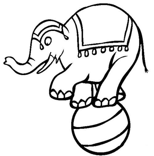 怎么画三原色的简笔画大象（大象怎么画简笔画可爱的）(10)