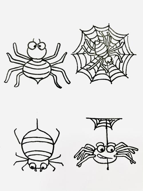 小蜘蛛的简笔画（蜘蛛的简笔画一年级）(2)