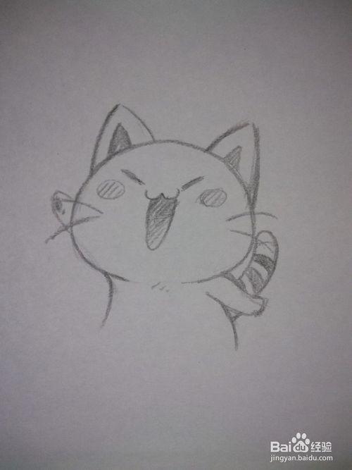 把猫化成动漫形象的简笔画（猫图片卡通简笔画）(6)