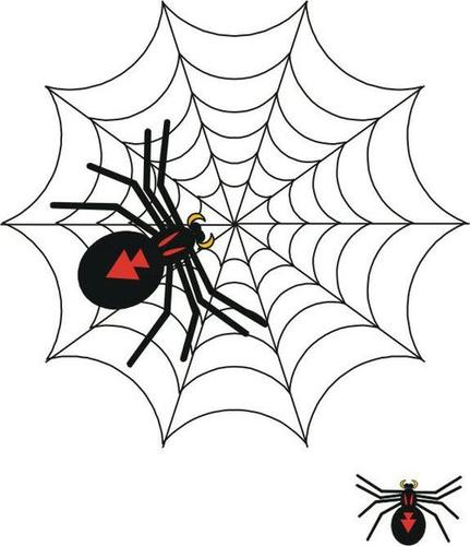 小蜘蛛的简笔画（蜘蛛的简笔画一年级）(4)