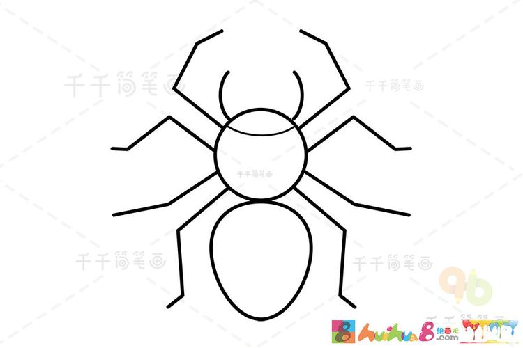 小蜘蛛的简笔画（蜘蛛的简笔画一年级）(7)
