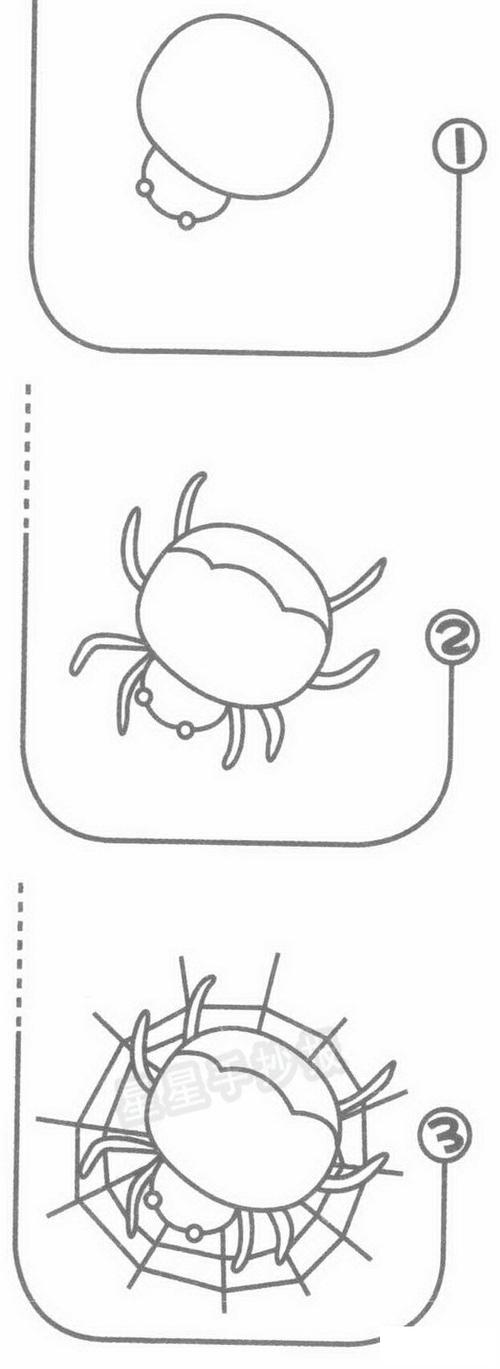 小蜘蛛的简笔画（蜘蛛的简笔画一年级）(8)