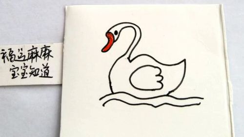 在水中游泳的鹅简笔画（大白鹅在水里游的简笔画）(1)